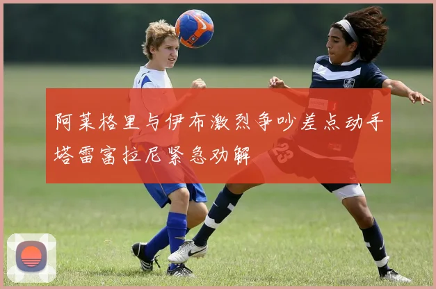 阿莱格里与伊布激烈争吵差点动手塔雷富拉尼紧急劝解