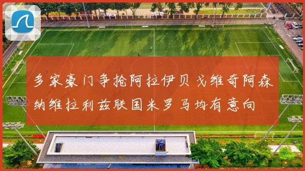 多家豪门争抢阿拉伊贝戈维奇阿森纳维拉利兹联国米罗马均有意向